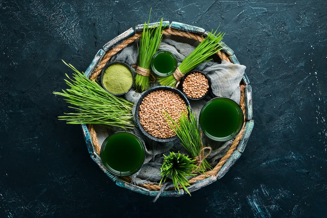 barley grass juice