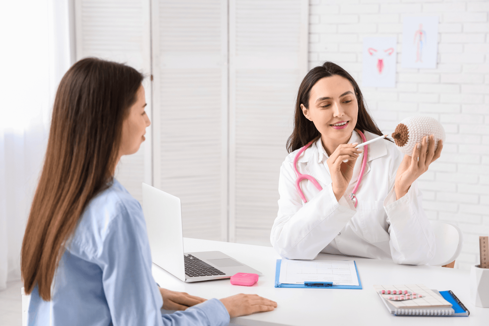 Doctor explaining breast anatomy with a model to a patient during a medical consultation