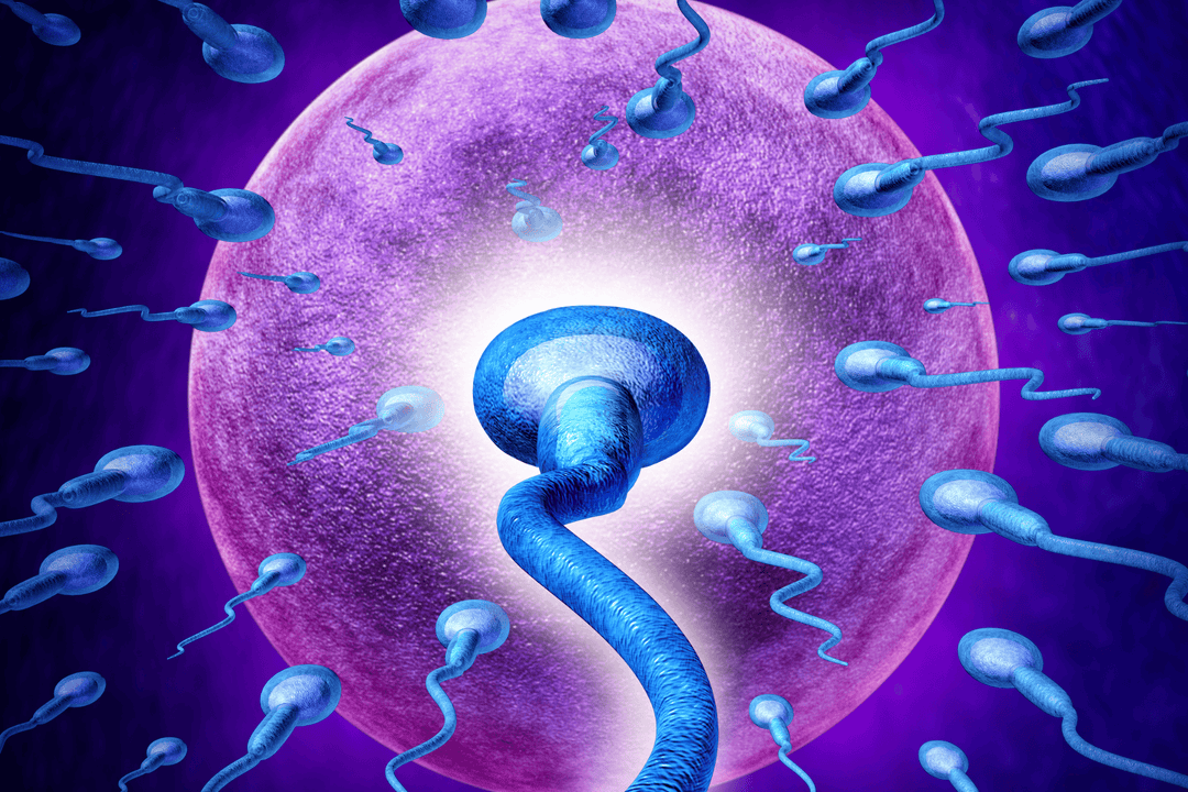 Egg Freezing Calculator: How Many Eggs Should You Freeze by Age?