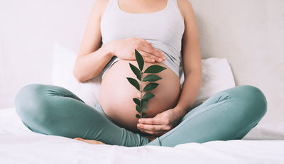 How Chlorophyll Improves Fertility & Can Help You Get Pregnant