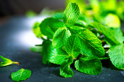 Does Mint Really Decrease Milk Supply?