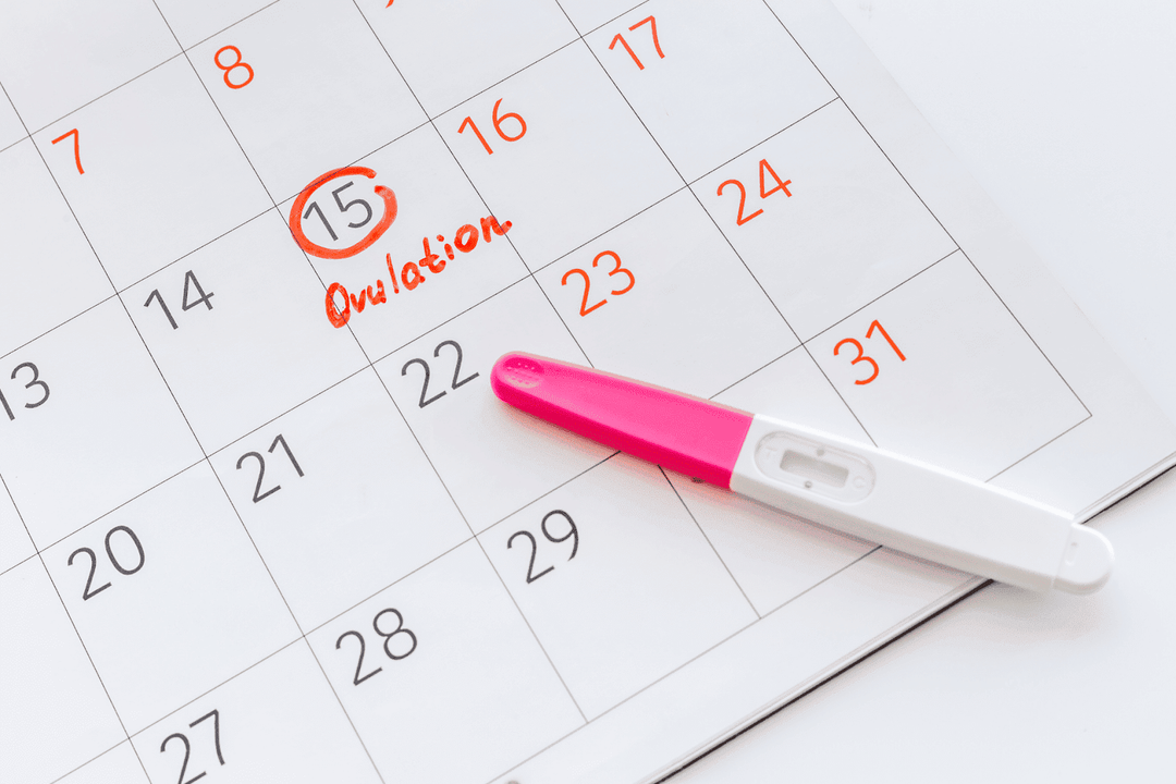 How to Increase Ovulation Naturally: Simple Changes That Help