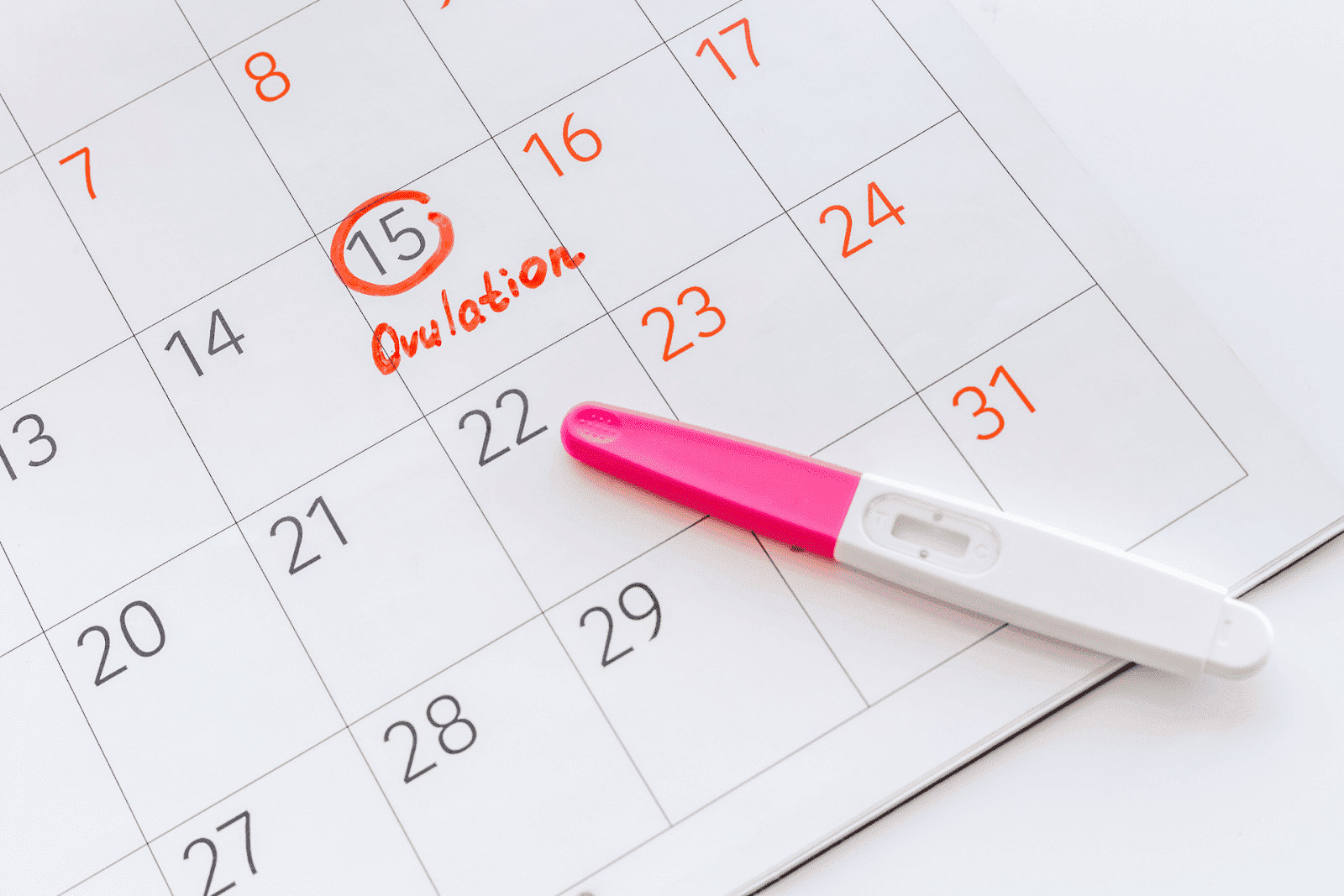 Calendar with ovulation day circled and a pregnancy test on top.