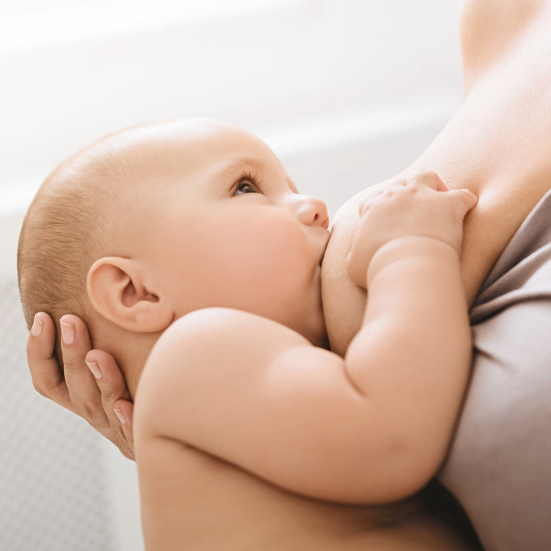 galactagogue that increases milk supply